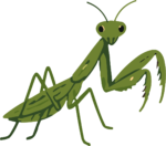 Praying Mantis SVG Simple Flat Vector