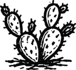 Prickly Pear Cactus SVG Bold Desert Vector