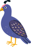 Quail Bird SVG Whimsical Plumage Vector