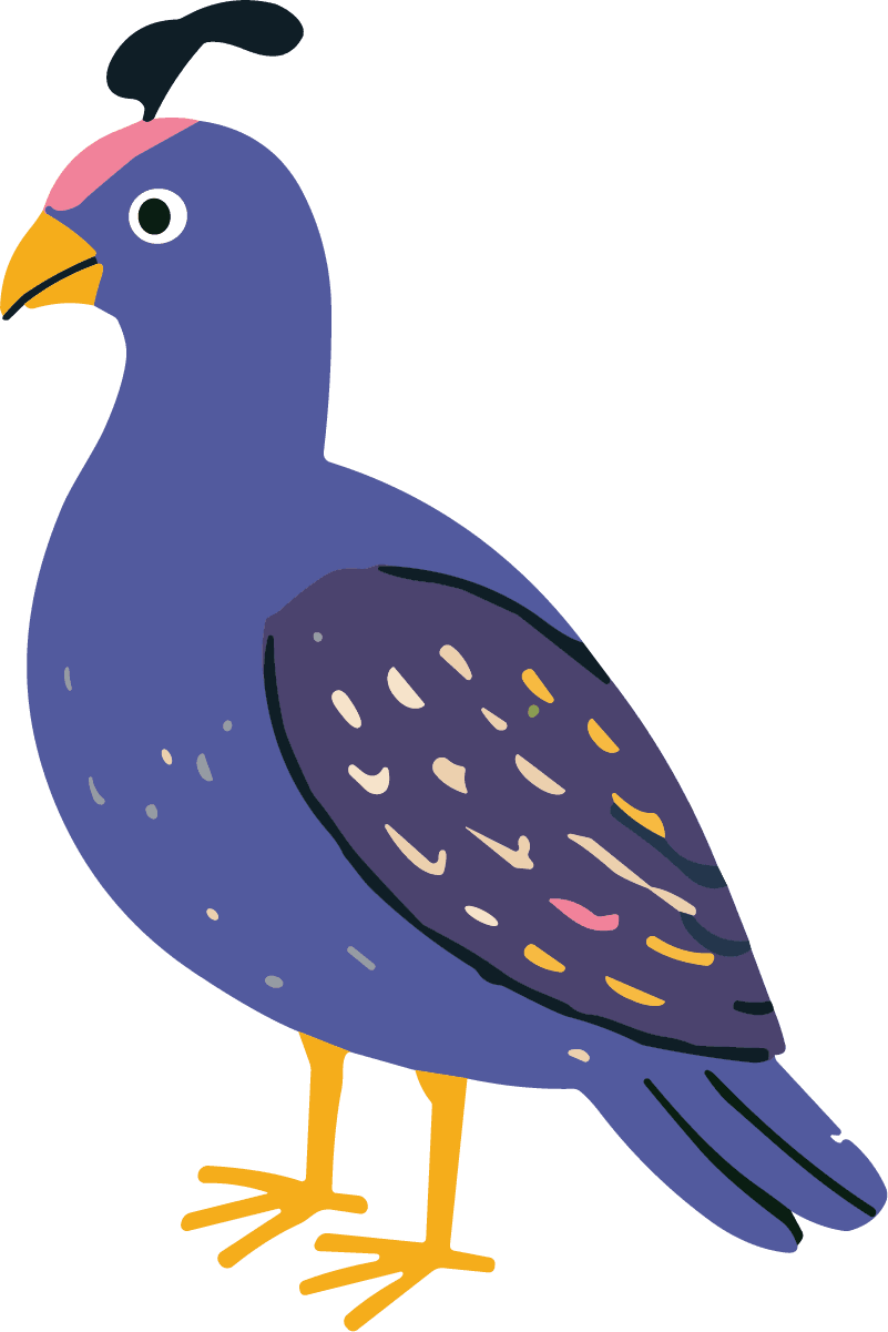 Quail Bird SVG Whimsical Plumage Vector - Image 1