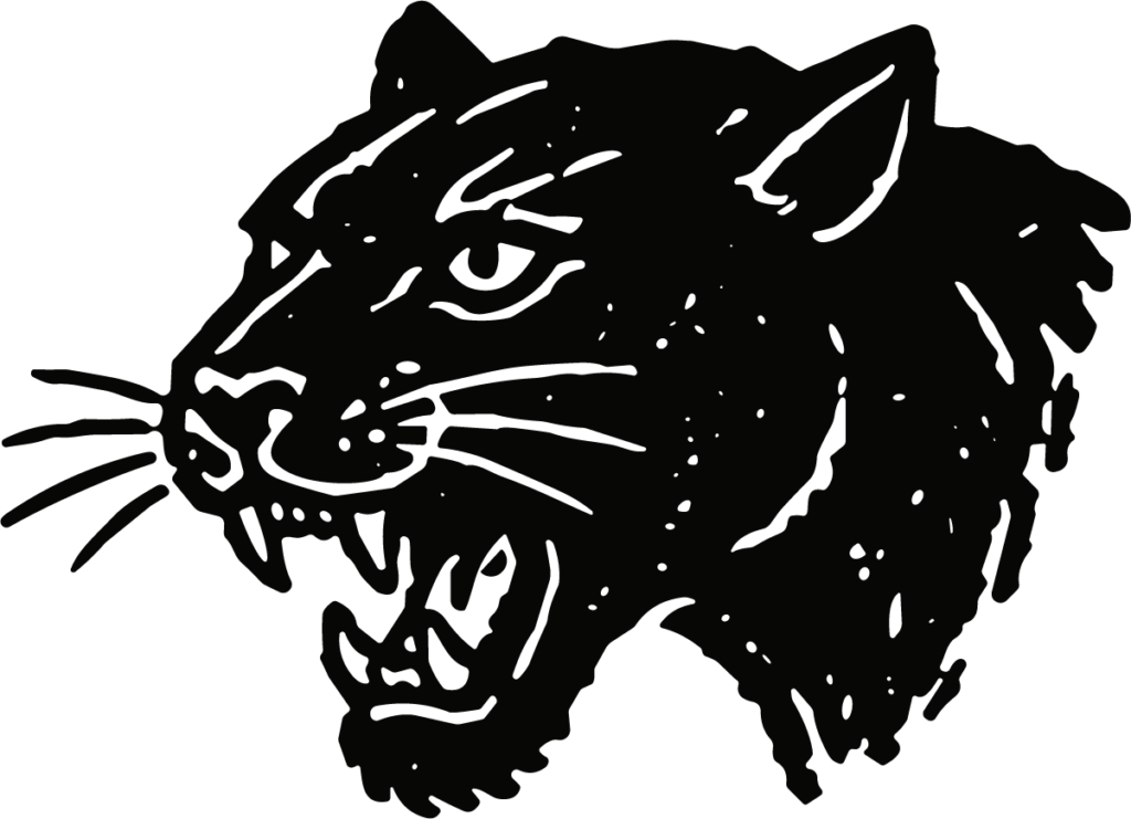 Roaring Panther Head SVG Bold Mascot Vector