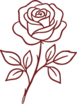 Rose Flower SVG Elegant Outline Vector