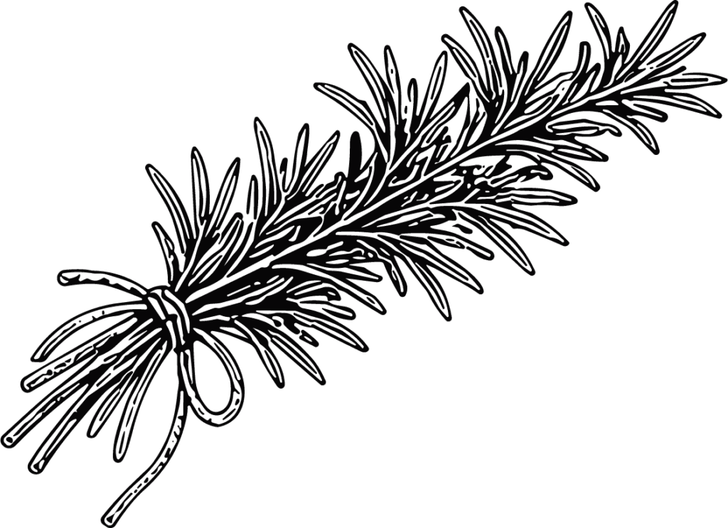 Rosemary Bundle Rustic Botanical Vector