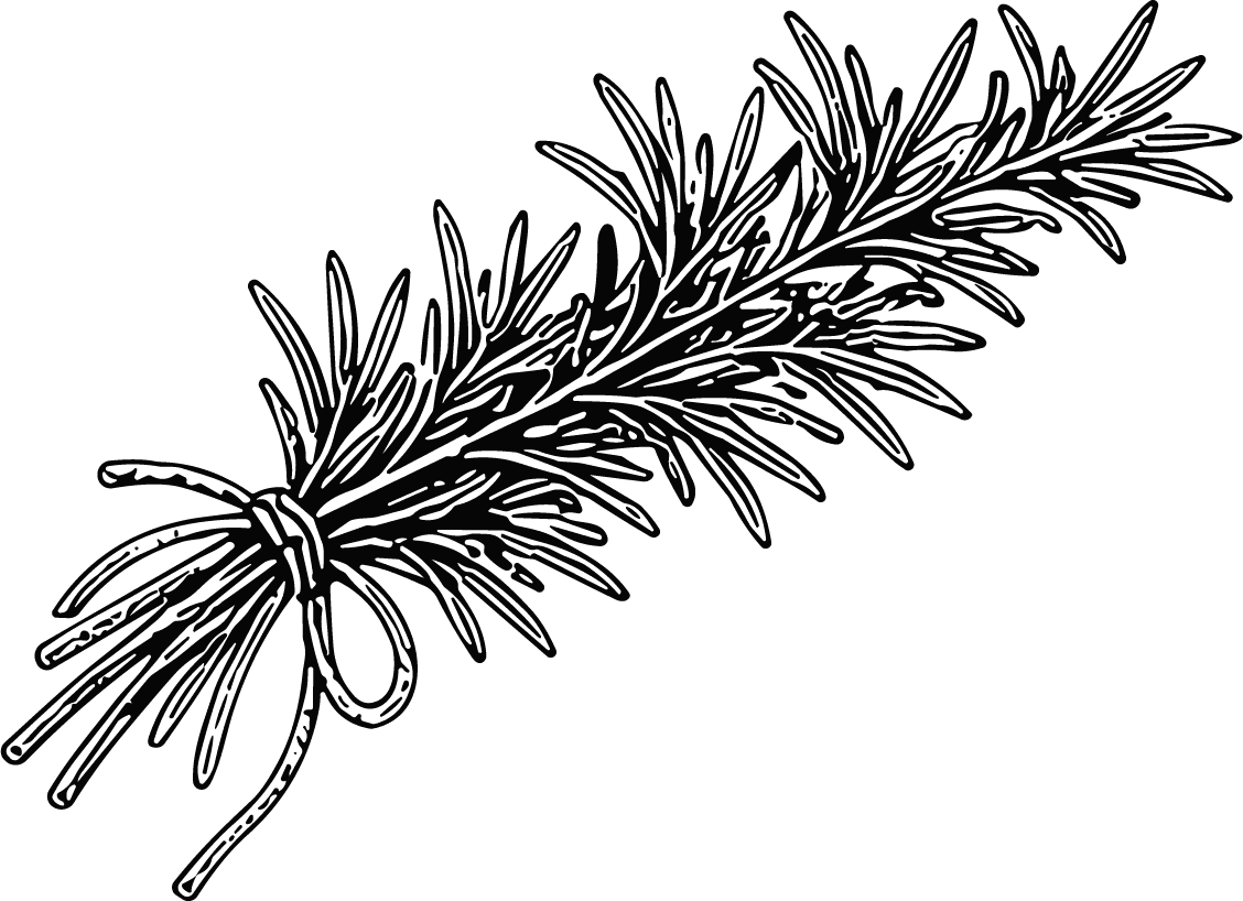 Rosemary Bundle Rustic Botanical Vector - Image 1
