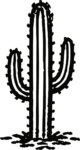 Saguaro Cactus SVG Desert Line Art Vector