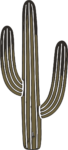 Saguaro Cactus SVG Desert Icon Vector