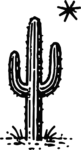 Saguaro Cactus SVG Desert Night Vector