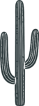 Saguaro Cactus SVG Desert Silhouette Vector