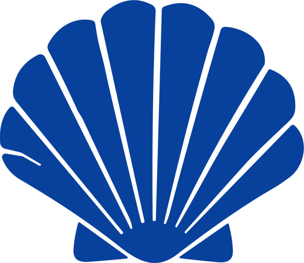 Scallop Shell SVG Bold Coastal Vector