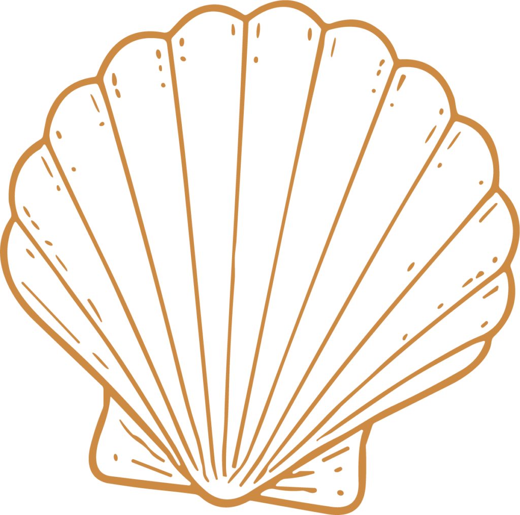 Scallop Shell SVG Delicate Outline Vector