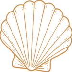 Scallop Shell SVG Delicate Outline Vector