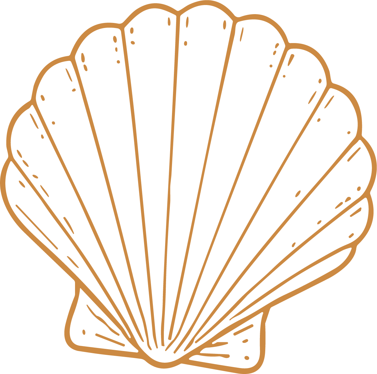 Scallop Shell SVG Delicate Outline Vector - Image 1