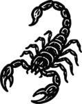 Scorpion SVG Bold Silhouette Vector