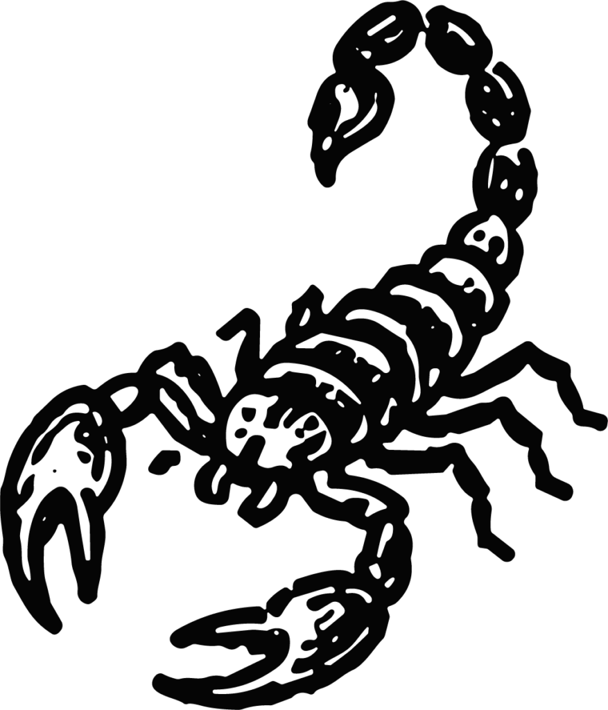 Scorpion SVG Bold Black Ink Vector