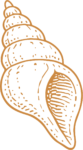 Sea Shell SVG Coastal Line Art Vector