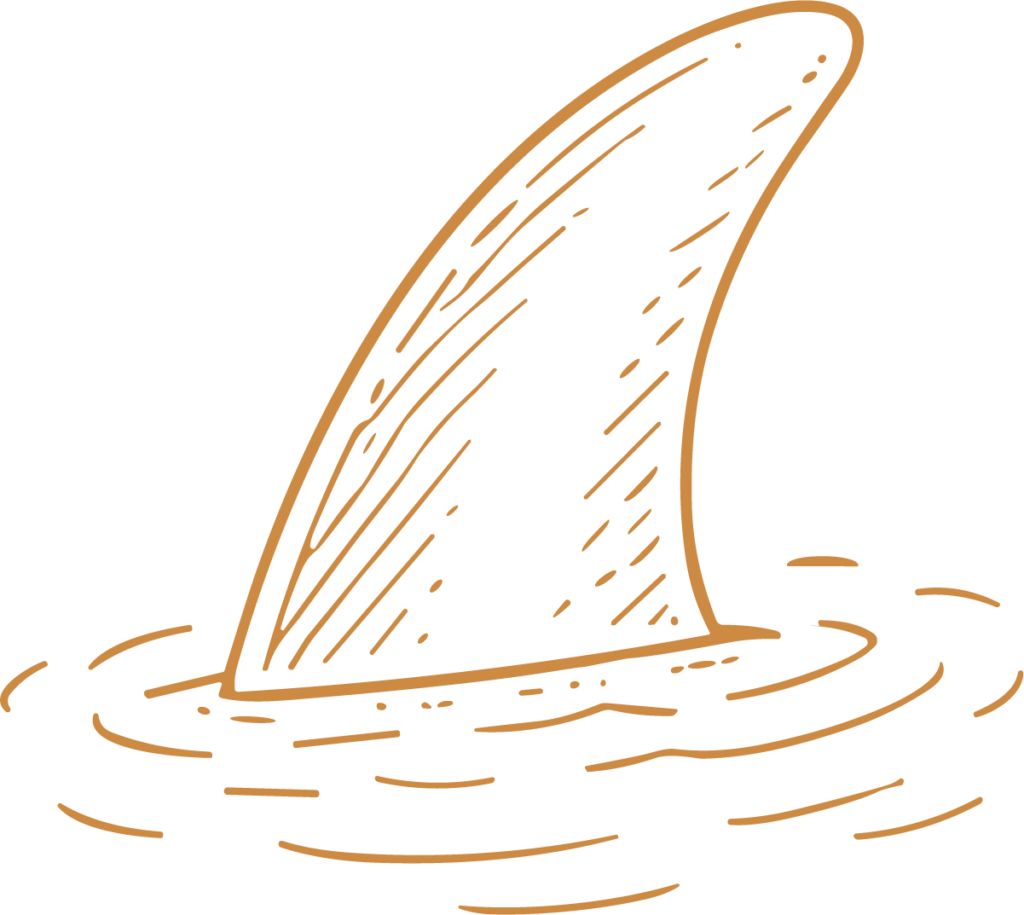 Shark Fin SVG Sketchy Ocean Vector