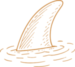 Shark Fin SVG Sketchy Ocean Vector