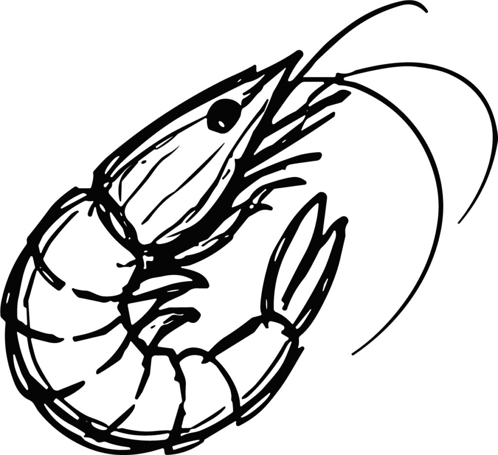 Shrimp SVG Bold Outline Vector