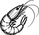 Shrimp SVG Bold Outline Vector