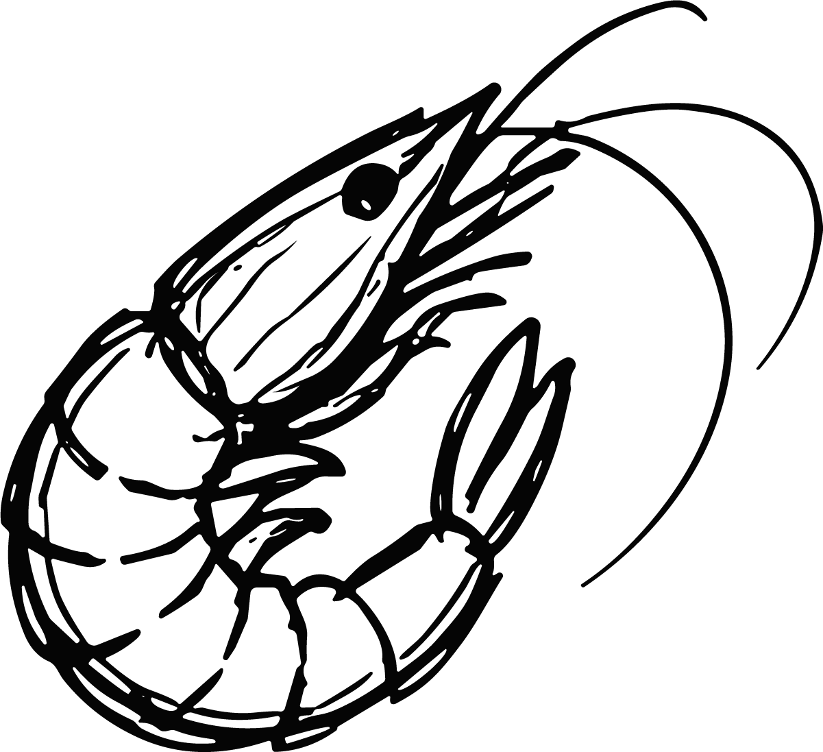 Shrimp SVG Bold Outline Vector - Image 1