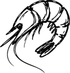 Shrimp SVG Sketchy Ink Vector