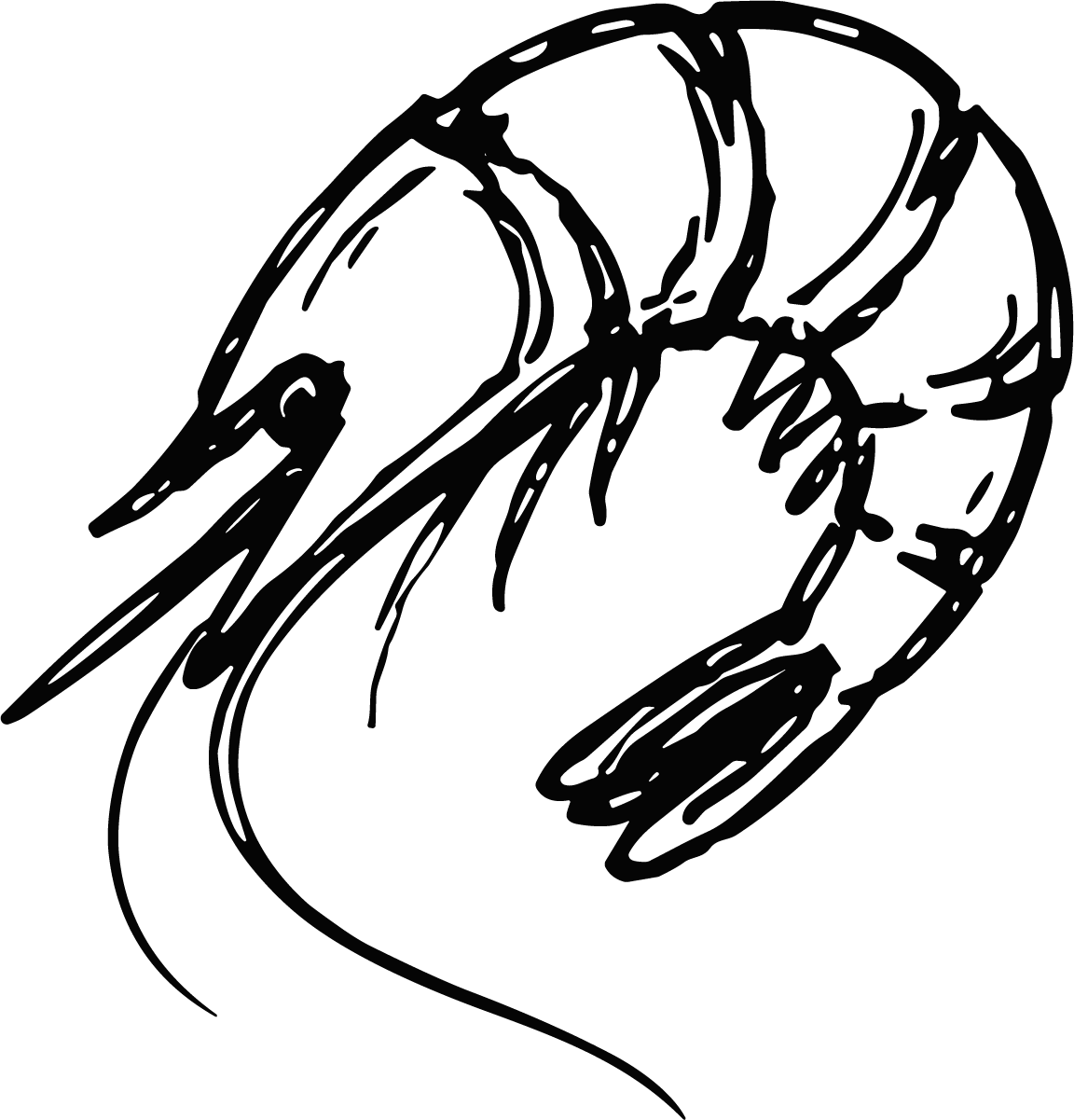 Shrimp SVG Sketchy Ink Vector - Image 1
