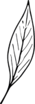 Single Leaf SVG Delicate Sketch Vector
