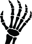 Skeleton Hand SVG Spooky Anatomy Vector