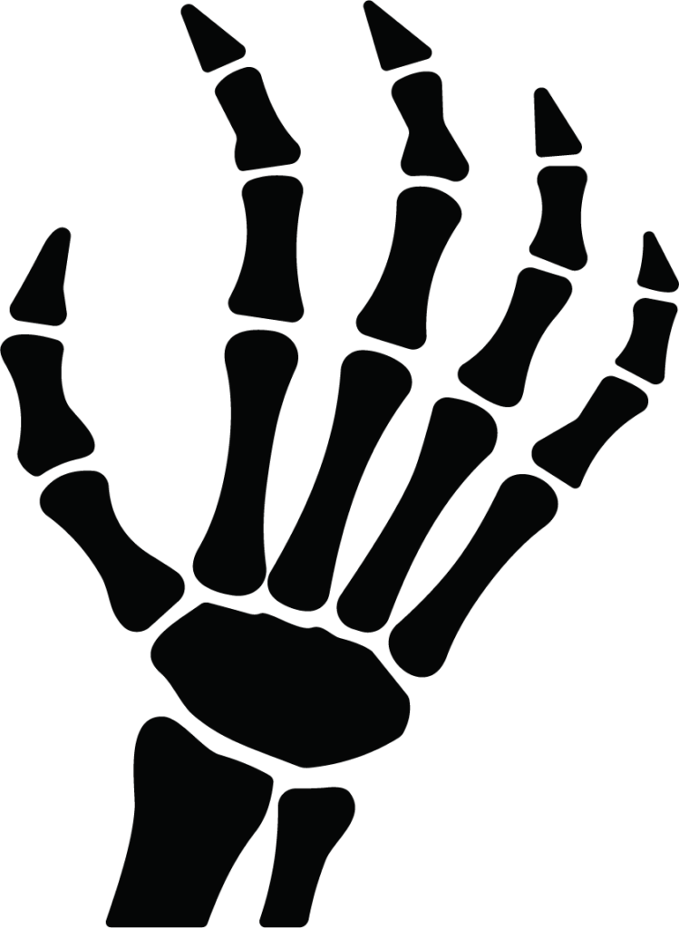 Skeleton Hand SVG Spooky Anatomy Vector