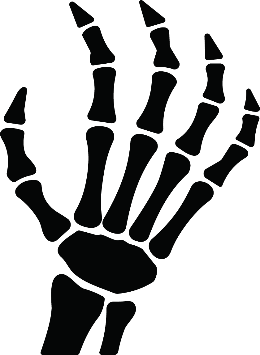 Skeleton Hand SVG Spooky Anatomy Vector - Image 1