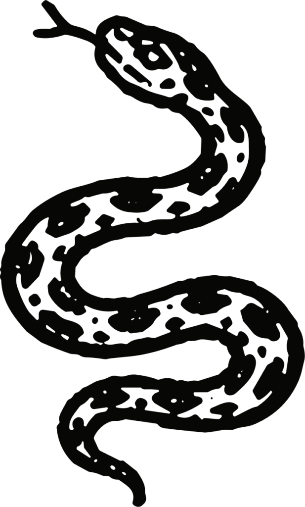 Slithering Snake SVG Bold Ink Vector
