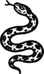 Slithering Snake SVG Bold Ink Vector