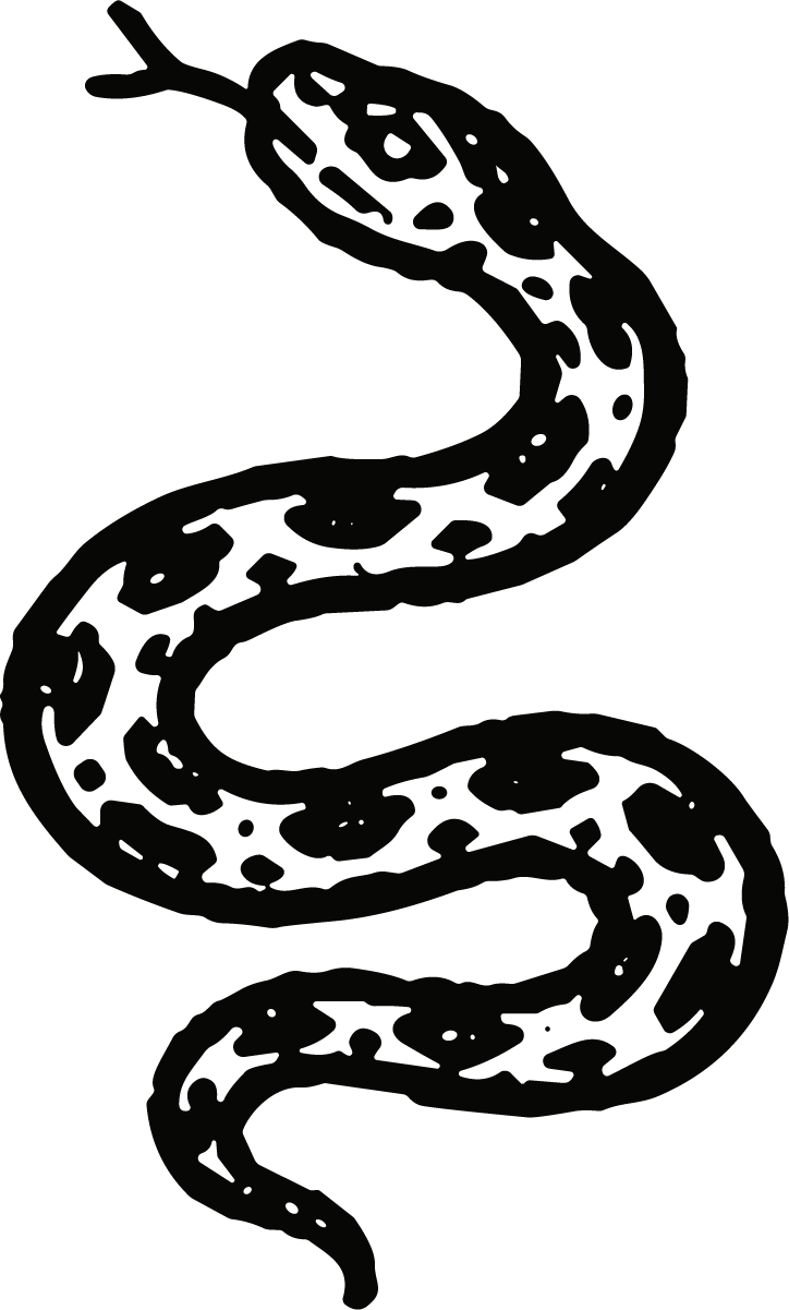 Slithering Snake SVG Bold Ink Vector - Image 1