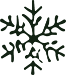 Snowflake SVG Organic Frost Vector