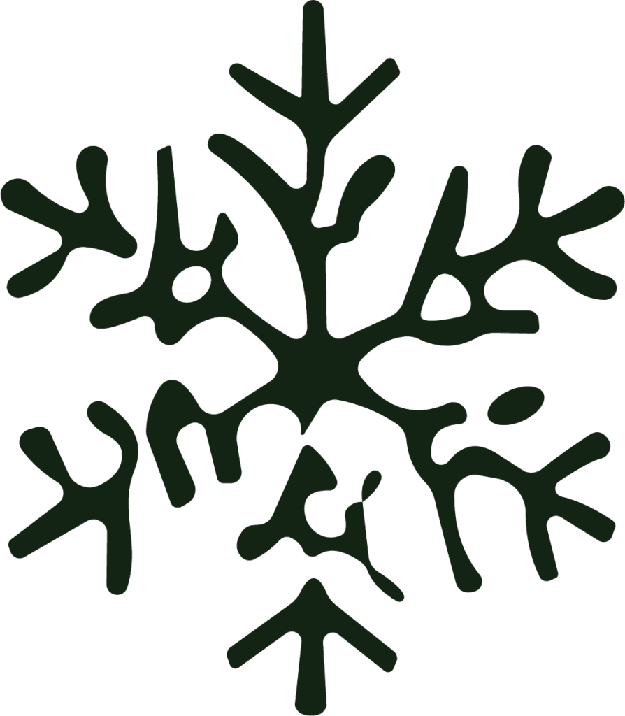 Snowflake SVG Organic Frost Vector