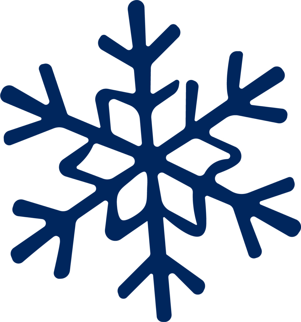 Snowflake SVG Bold Winter Vector