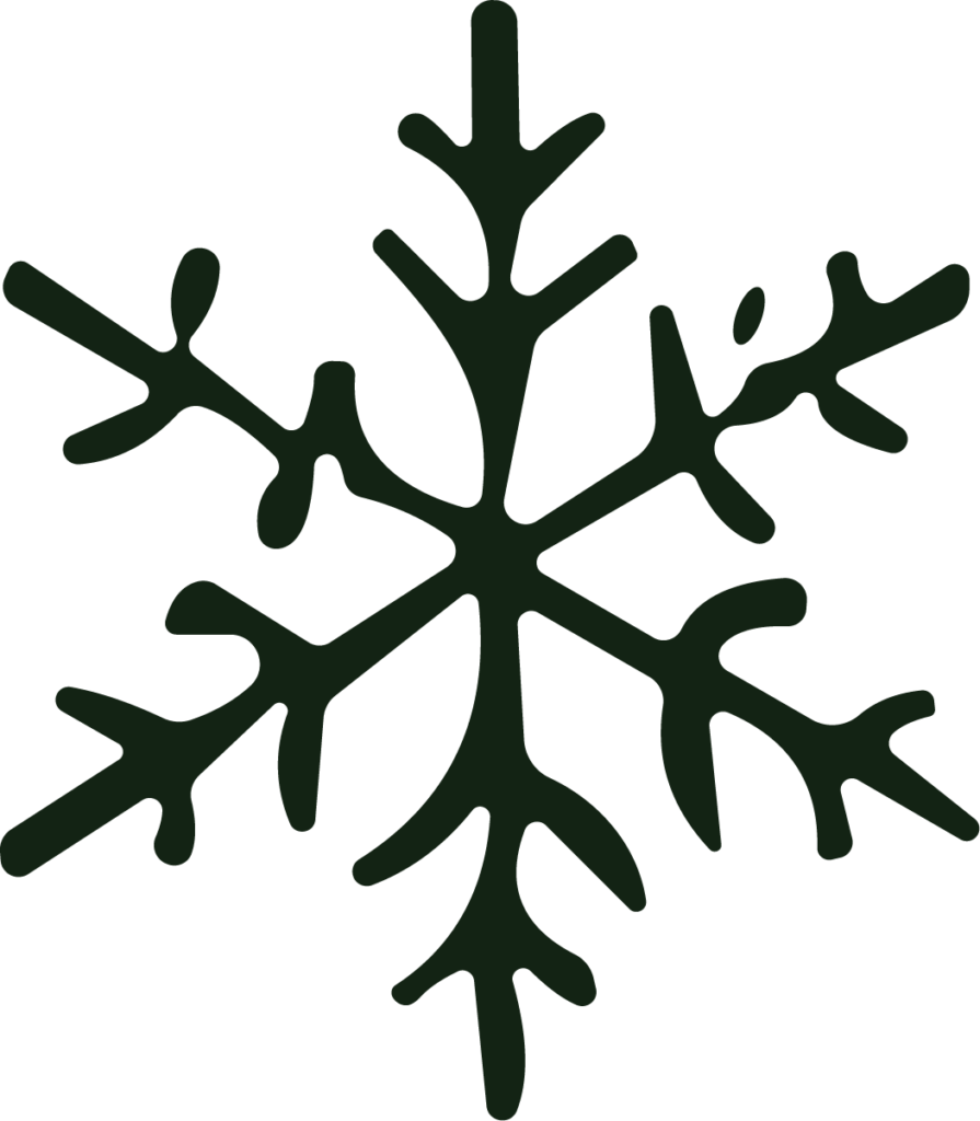 Snowflake SVG Frosty Winter Vector