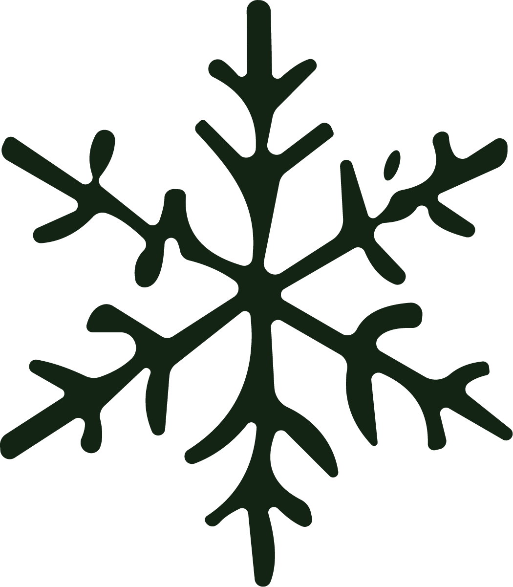 Snowflake SVG Frosty Winter Vector - Image 1