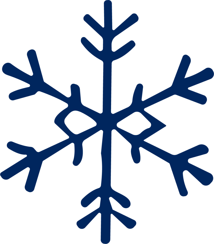 Snowflake SVG Delicate Frost Vector
