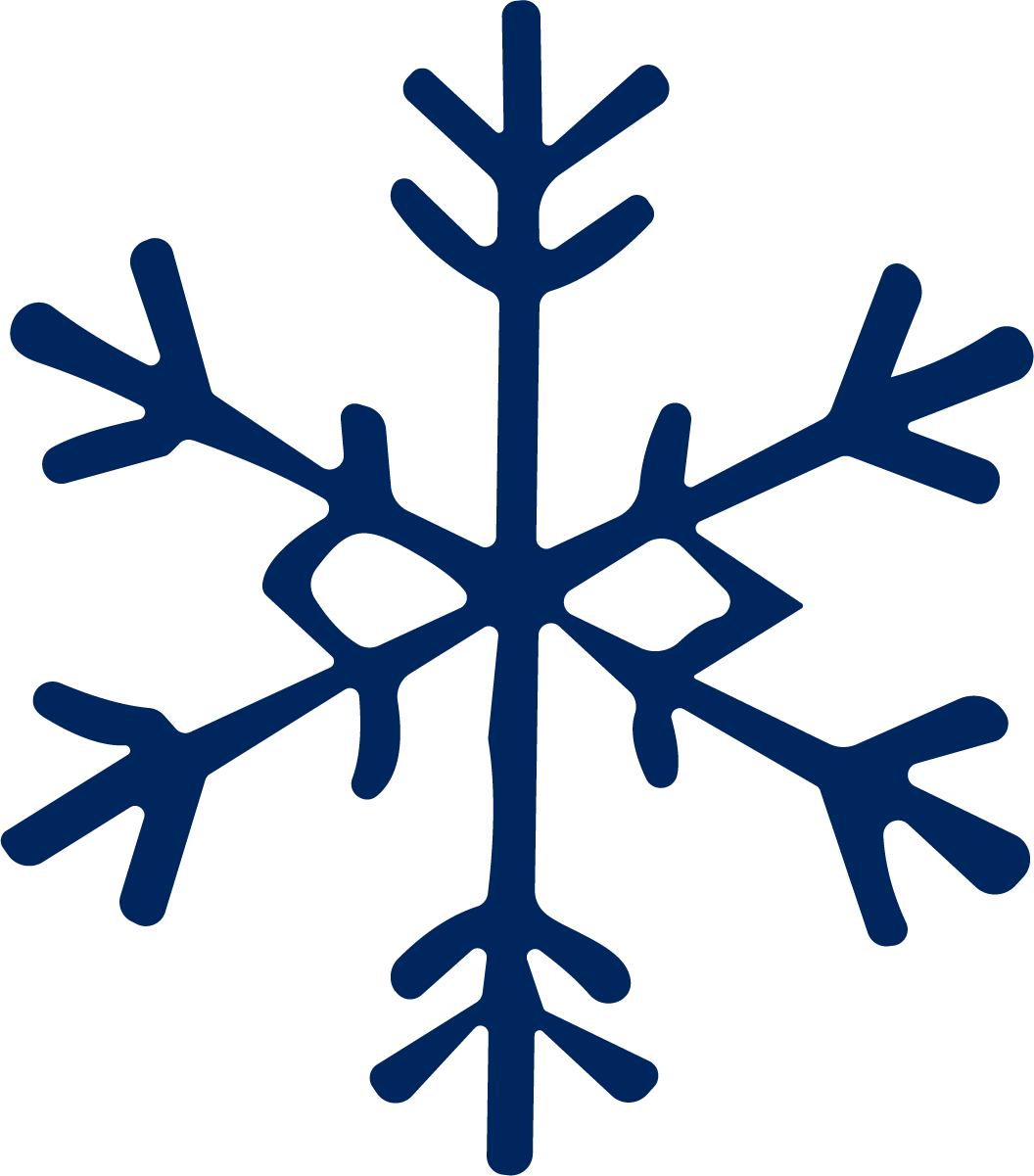 Snowflake SVG Delicate Frost Vector - Image 1
