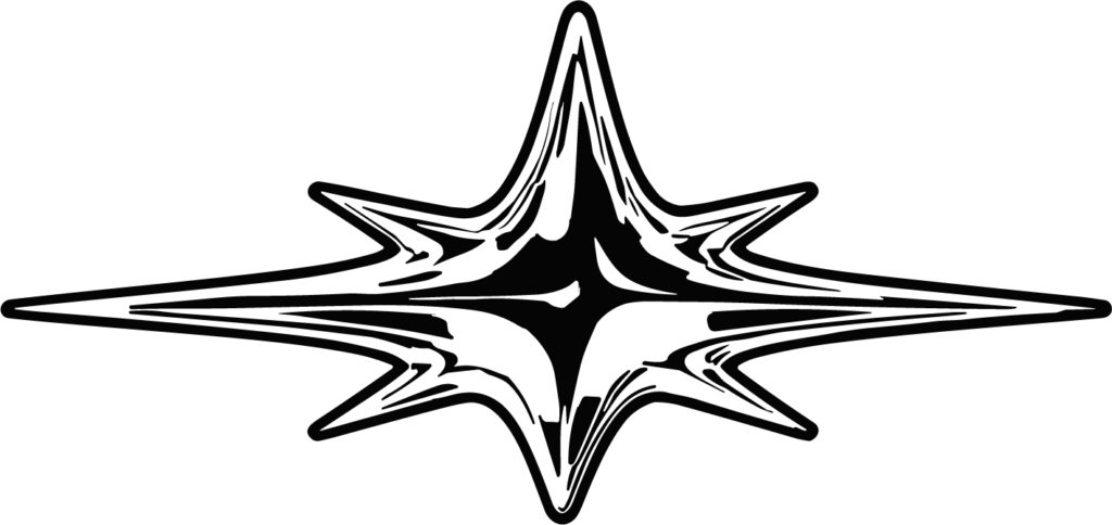 Sparkle Star SVG Bold Vector