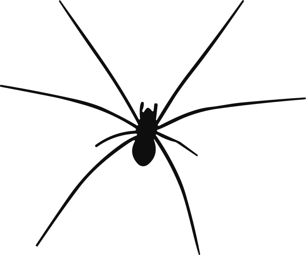 Spider SVG Long-Legged Silhouette Vector