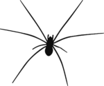 Spider SVG Long-Legged Silhouette Vector
