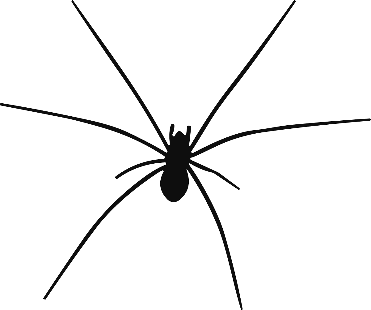 Spider SVG Long-Legged Silhouette Vector - Image 1