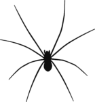 Spider SVG Long-Legged Silhouette Vector