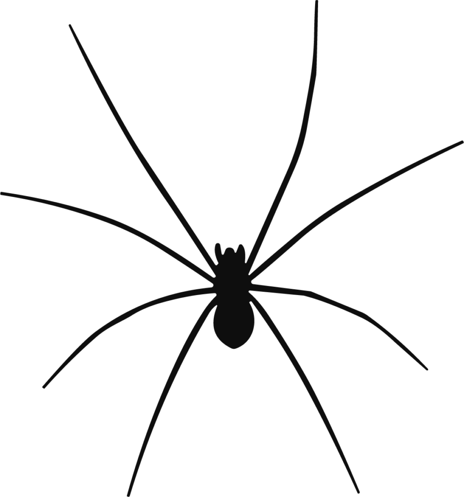 Spider SVG Long-Legged Silhouette Vector