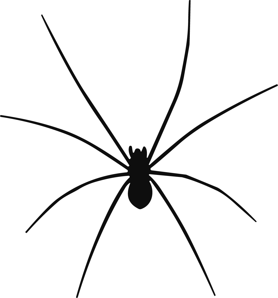 Spider SVG Long-Legged Silhouette Vector - Image 1