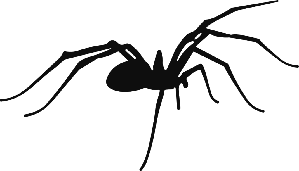 Spider SVG Creeping Silhouette Vector