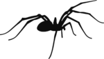 Spider SVG Creeping Silhouette Vector