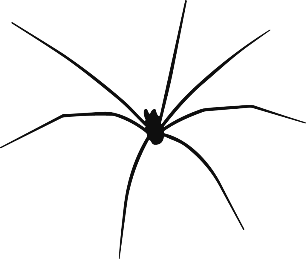 Spider SVG Long-Legged Sketch Vector